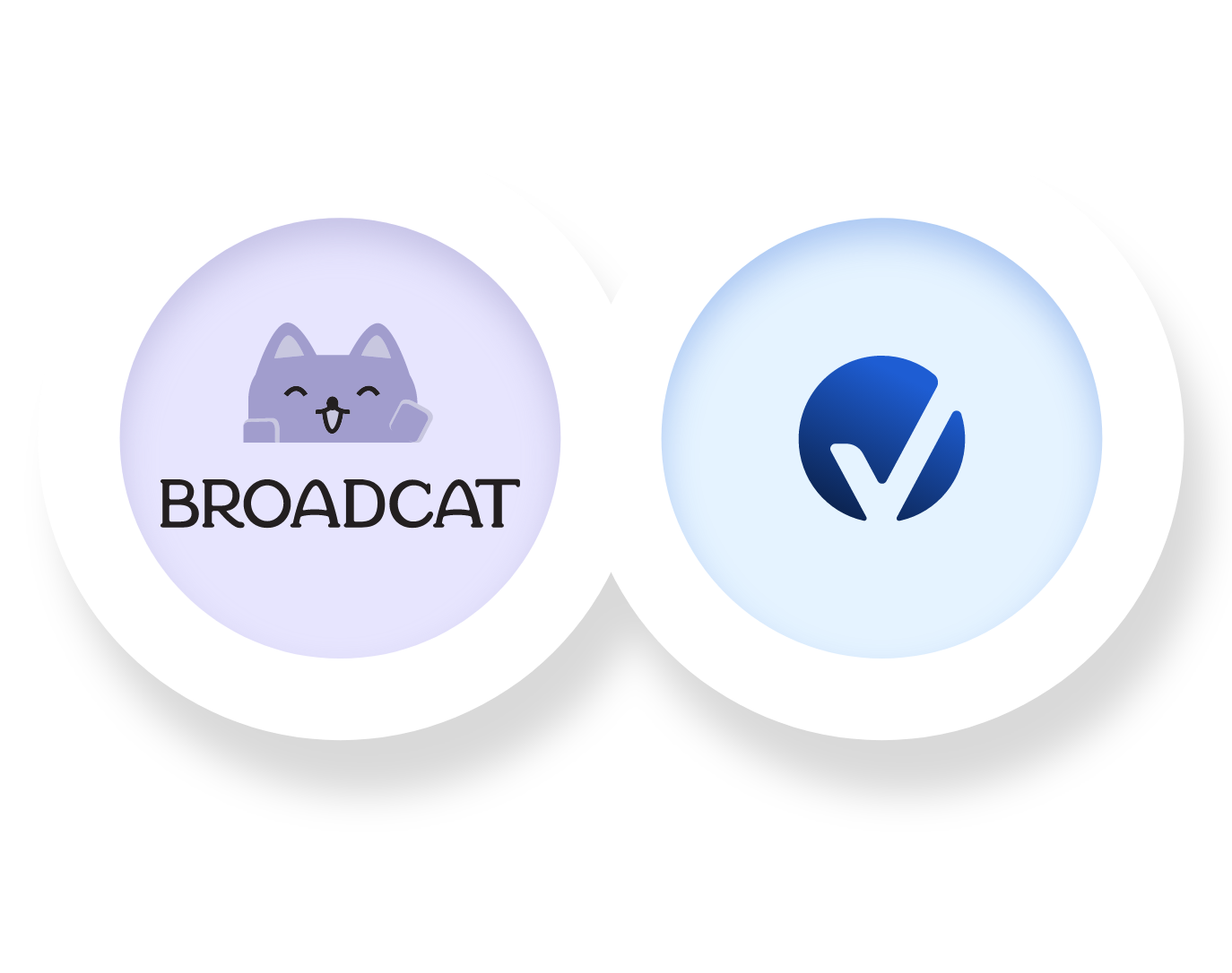 boardcat-hero-1
