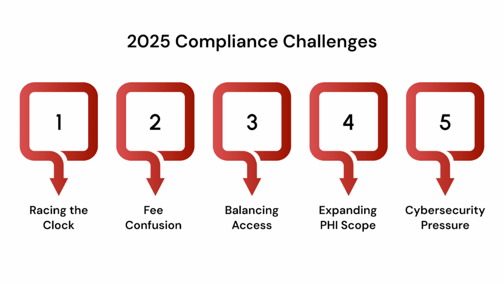 Common Challenges in Meeting Right of Access Requirements