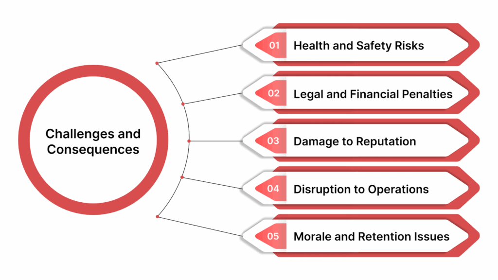 Challenges and Consequences of Non-Compliance