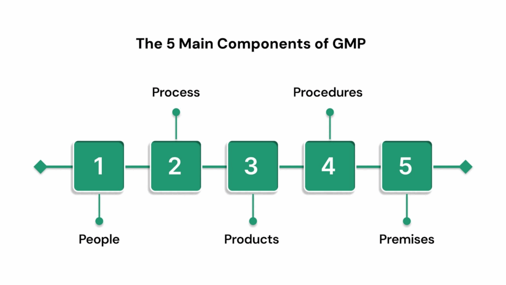 The 5 Main Components of GMP