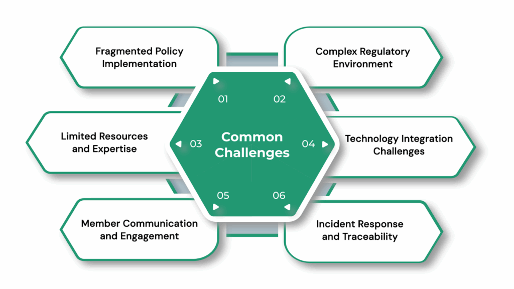 Common Challenges Faced by Electric Cooperative Policies