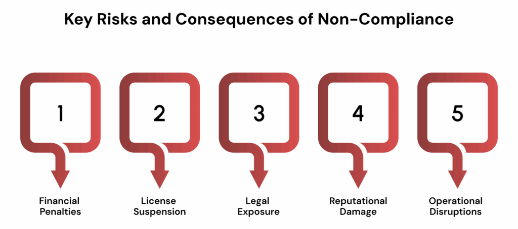 Key Risks and Consequences of Non-Compliance