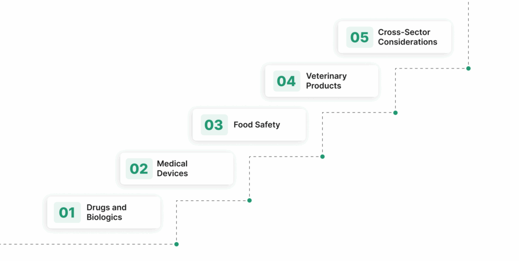 Core Areas of FDA Guidance