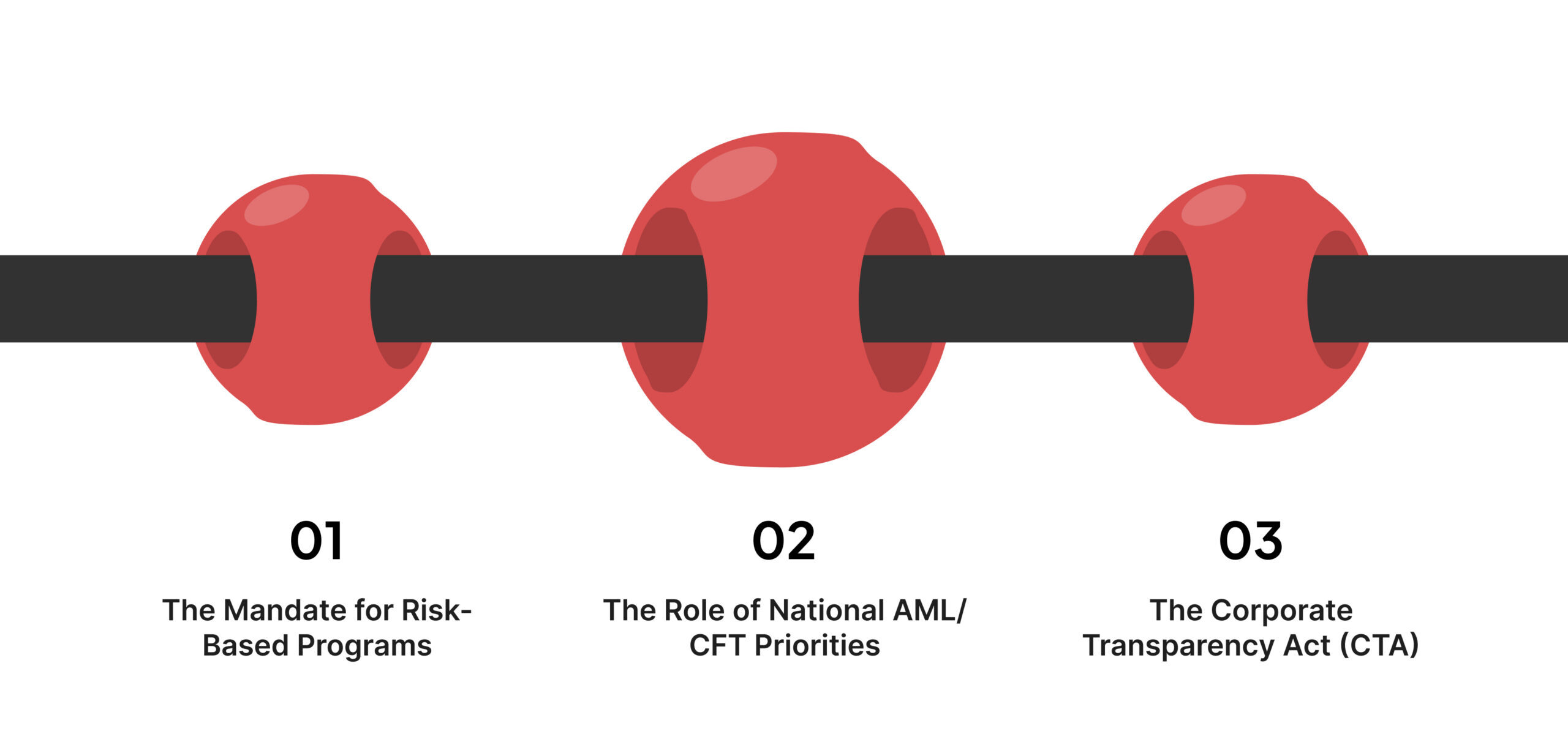 How Do the BSA and AML Act of 2020 Govern Transaction Monitoring?